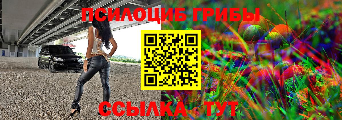 Ефремов  Псилоцибиновые грибы Psilocybine cubensis  Вход с VPN 