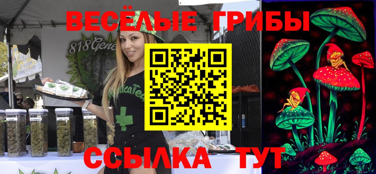 Псилоцибиновые грибы Psilocybe Ефремов